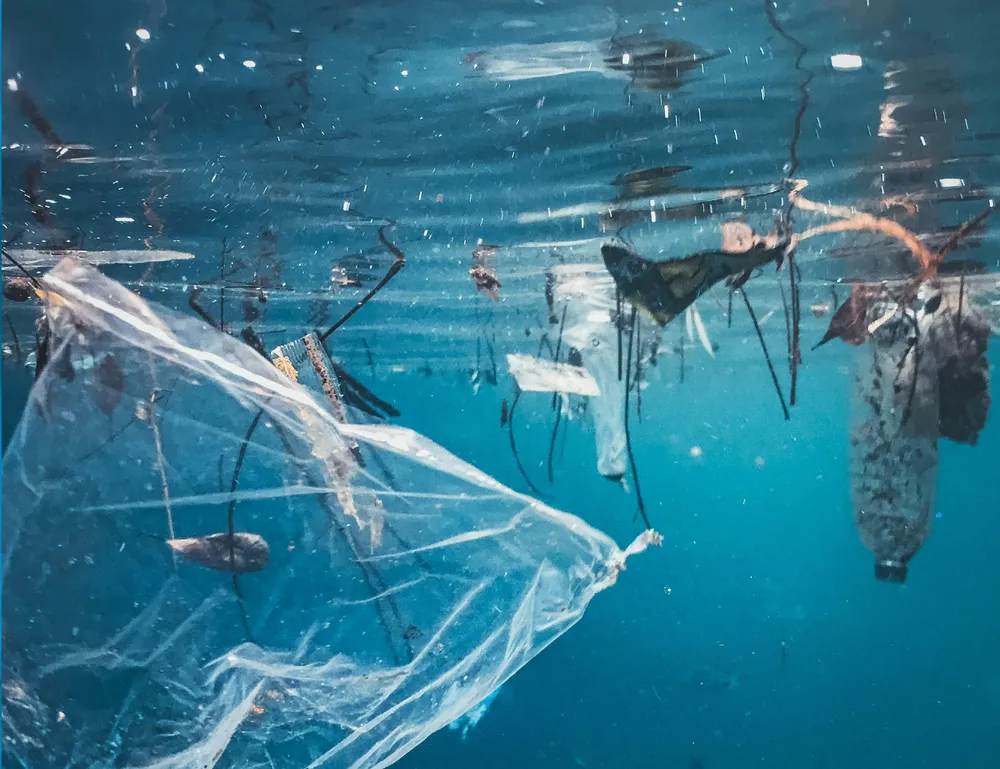 SEAQUAL - van marine plastic